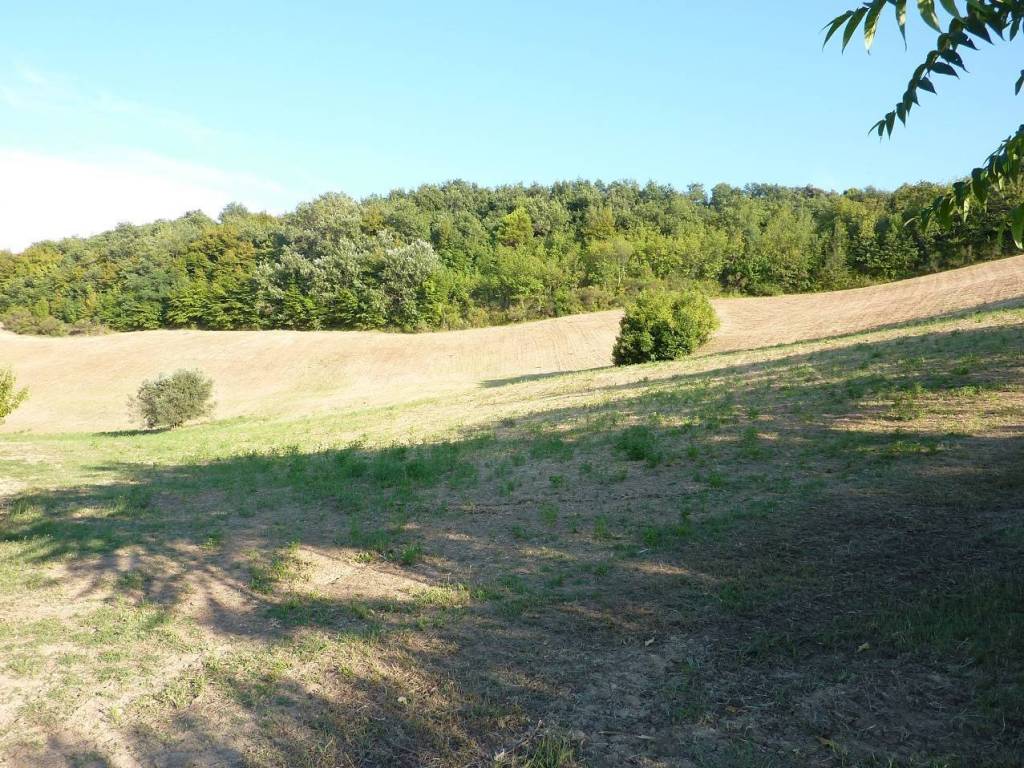 Terreno a Ripatransone - Foto 3