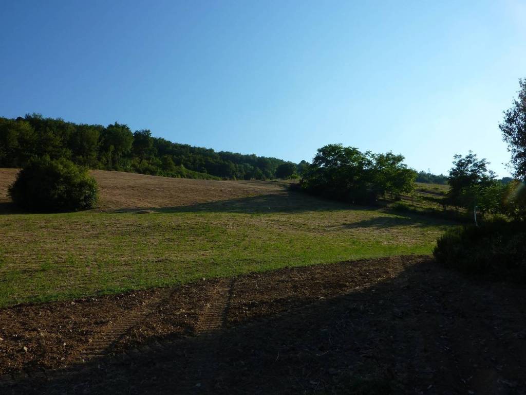 Terreno a Ripatransone - Foto 4