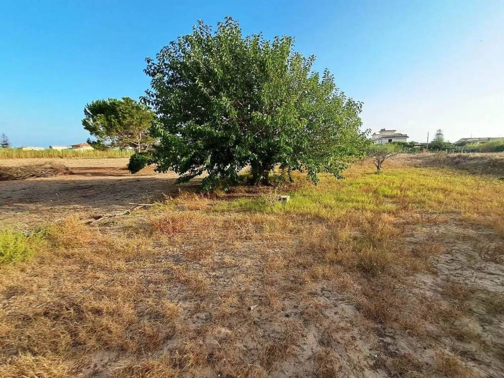 Terreno a Ispica in Via Del Mirto - Foto 4