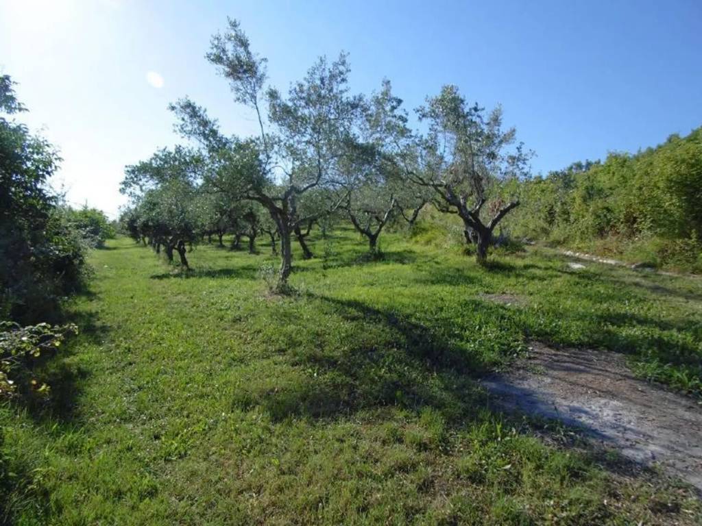 Rustico / casale a Casoli in Ss84 - Foto 5