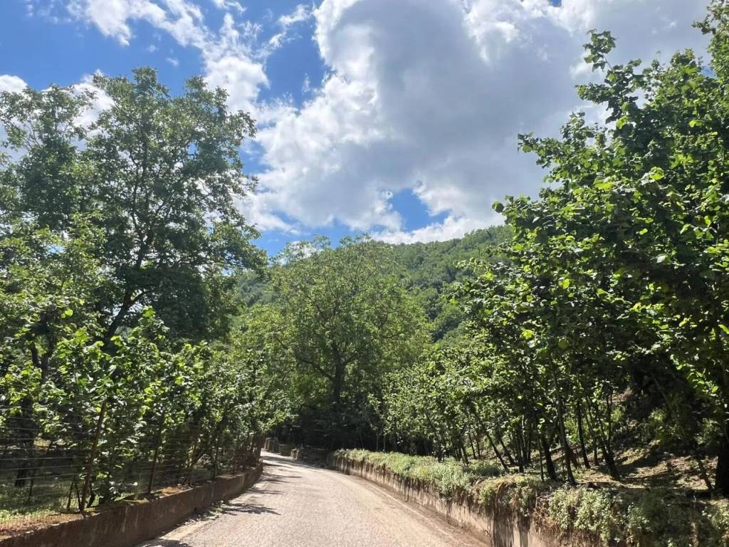 Terreno a Giffoni sei casali in Via Ramiera, 2 - Foto 2