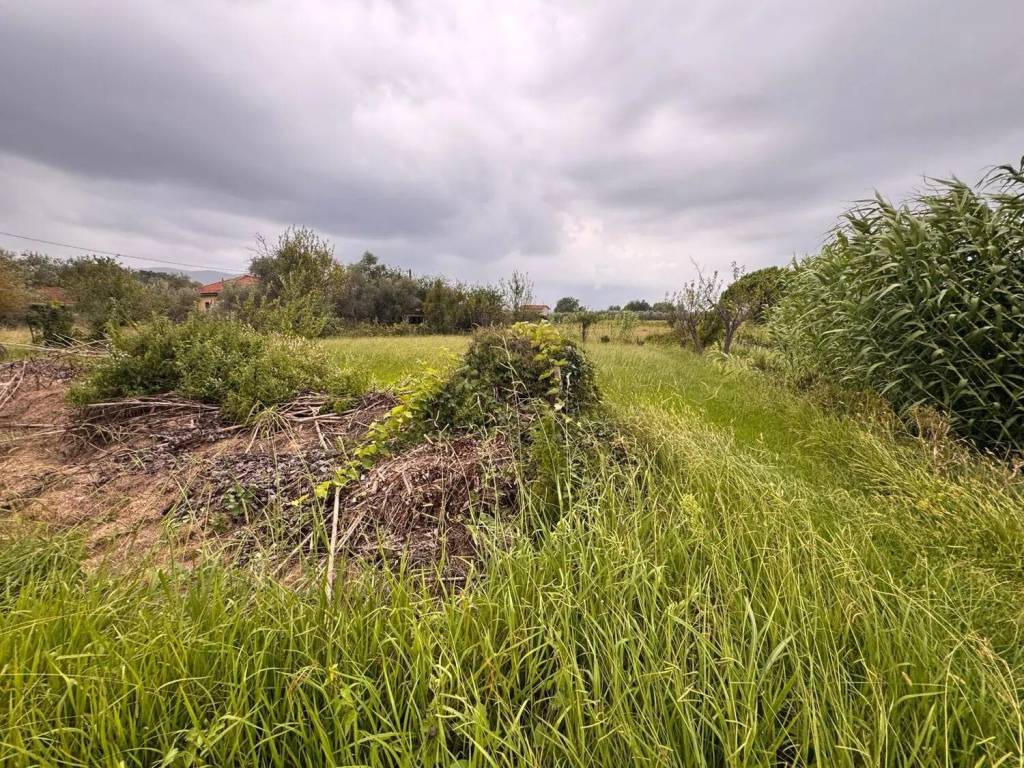 Terreno a Castelnuovo magra in Via Bolignolo, 38 - Foto 2