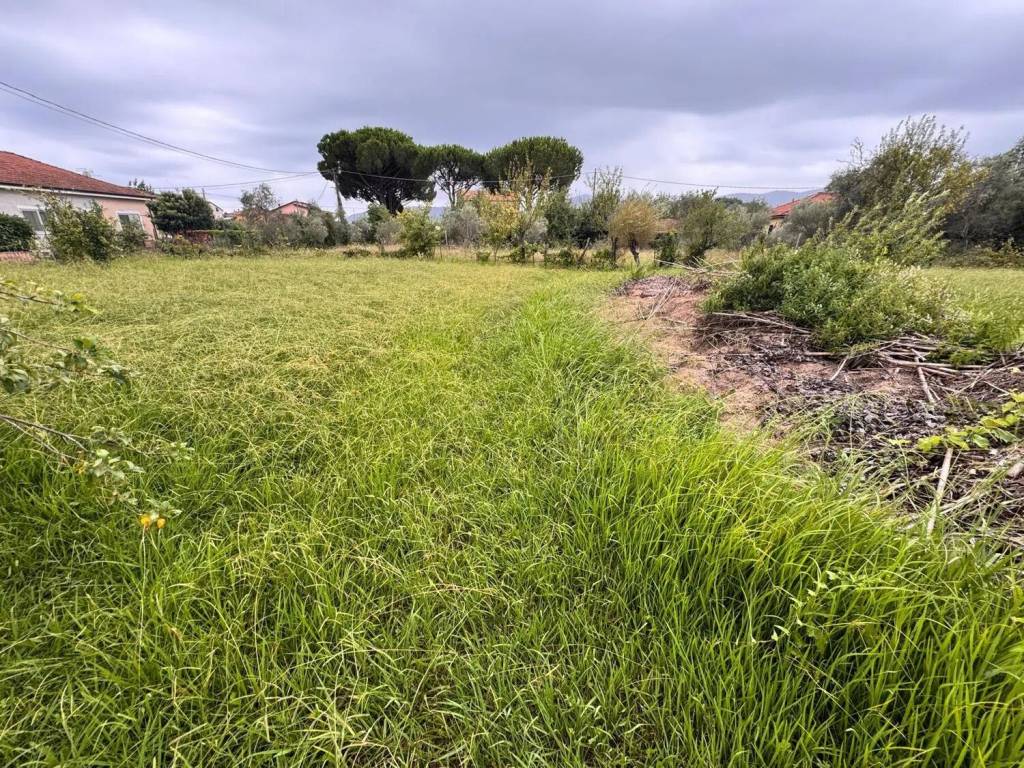 Terreno a Castelnuovo magra in Via Bolignolo, 38 - Foto 3