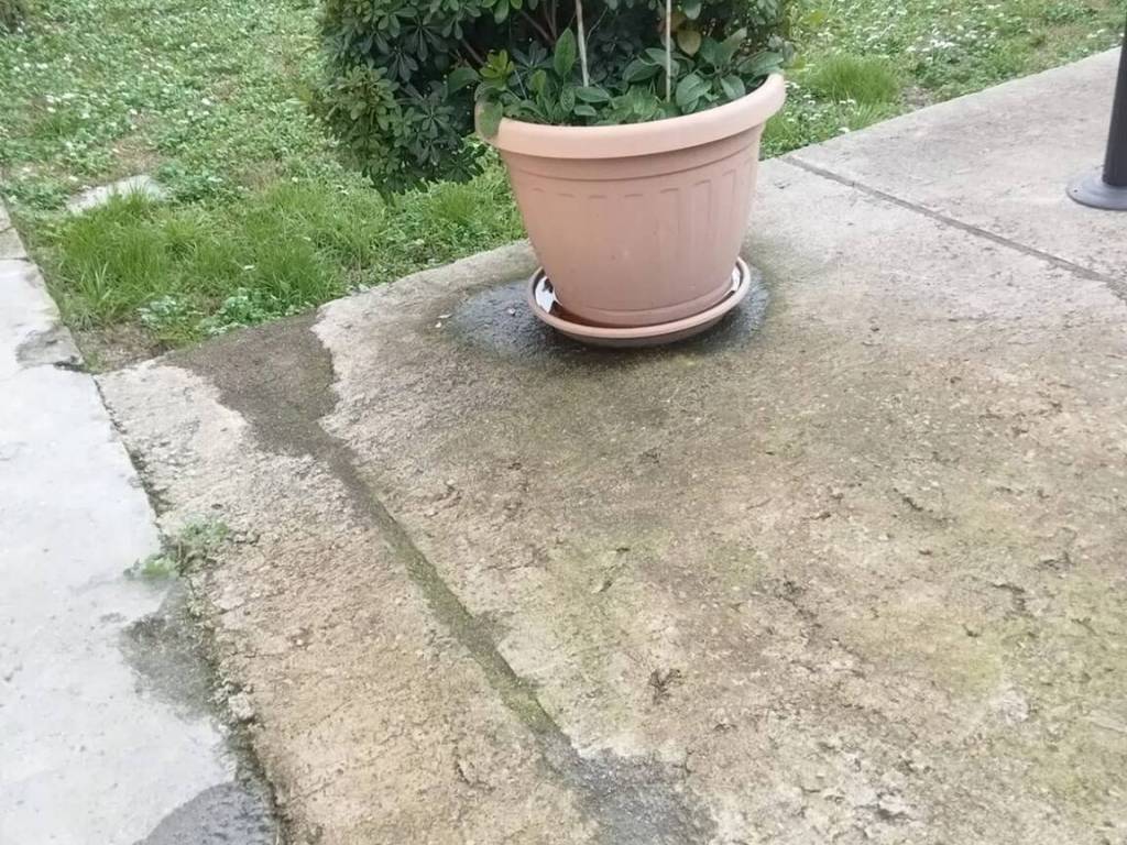 Villa a Sarzana - Foto 2