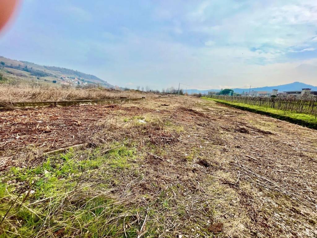 Terreno a Montecchia di crosara - Foto 3