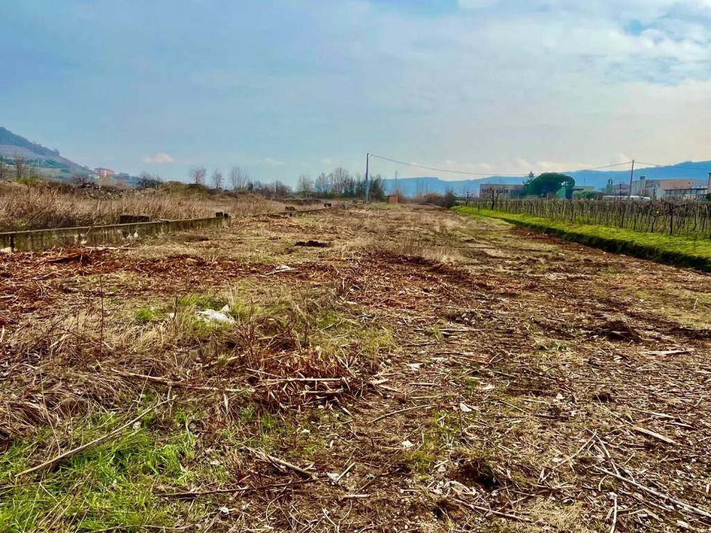 Terreno a Montecchia di crosara - Foto 4