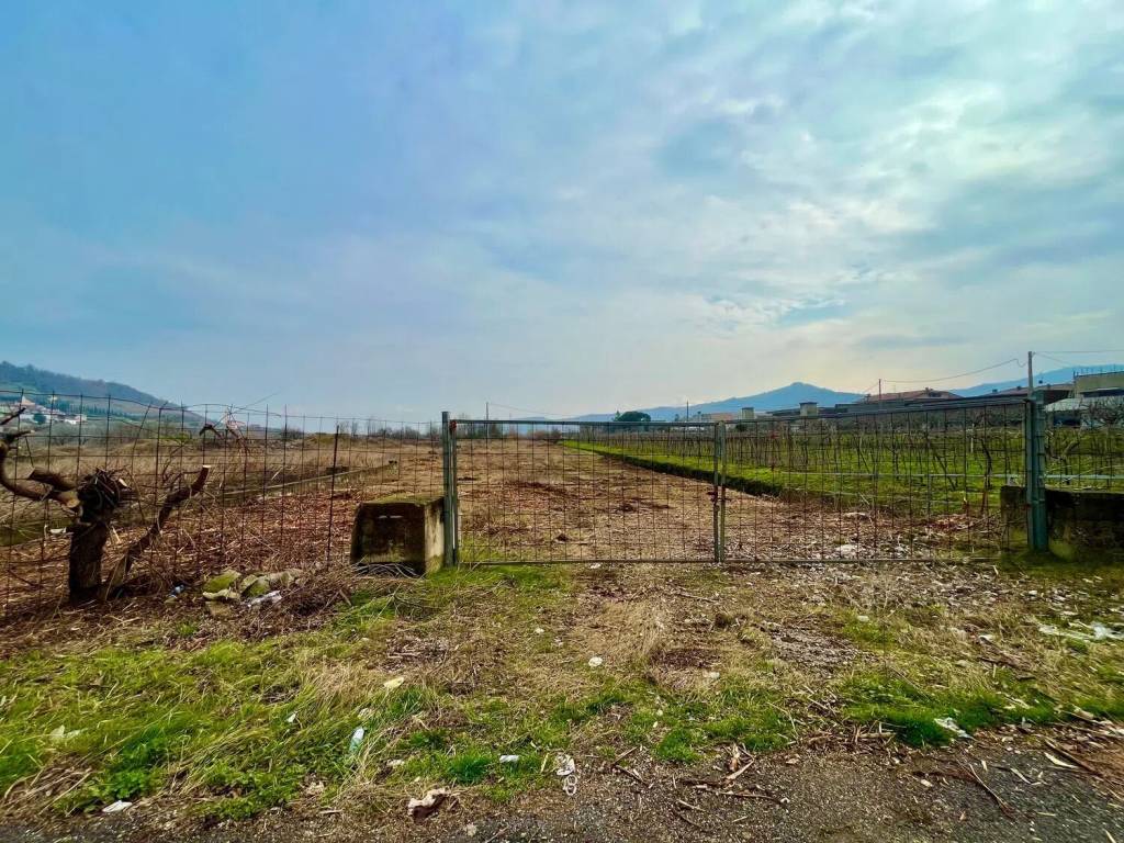 Terreno a Montecchia di crosara - Foto 5