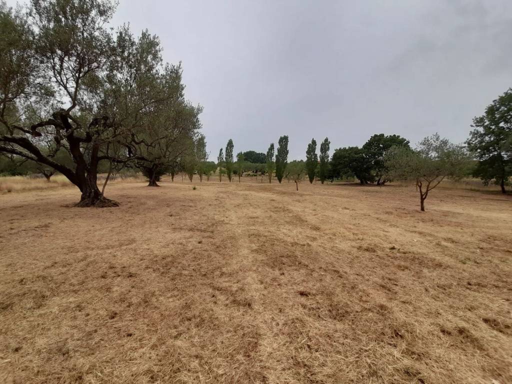 Terreno a Marta in Strada Della Mergonara No Number - Foto 2