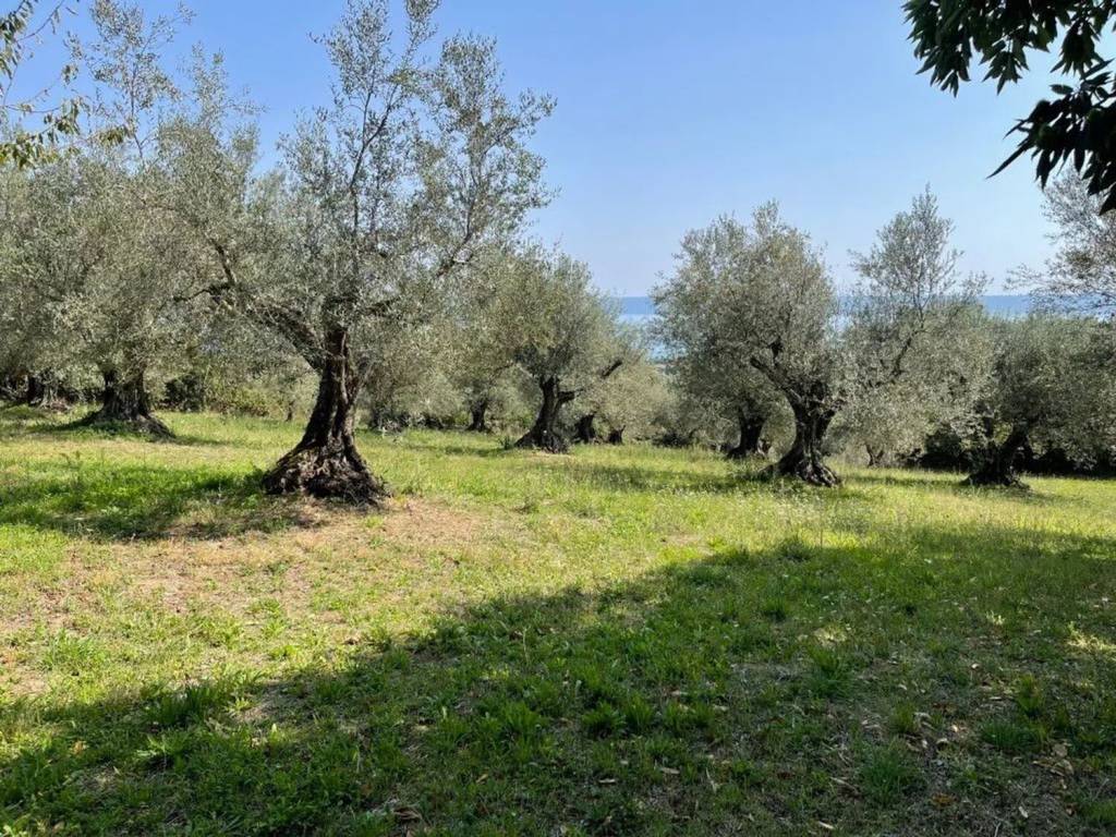 Rustico / casale a Capodimonte in Località San Lazzaro, 4 - Foto 2