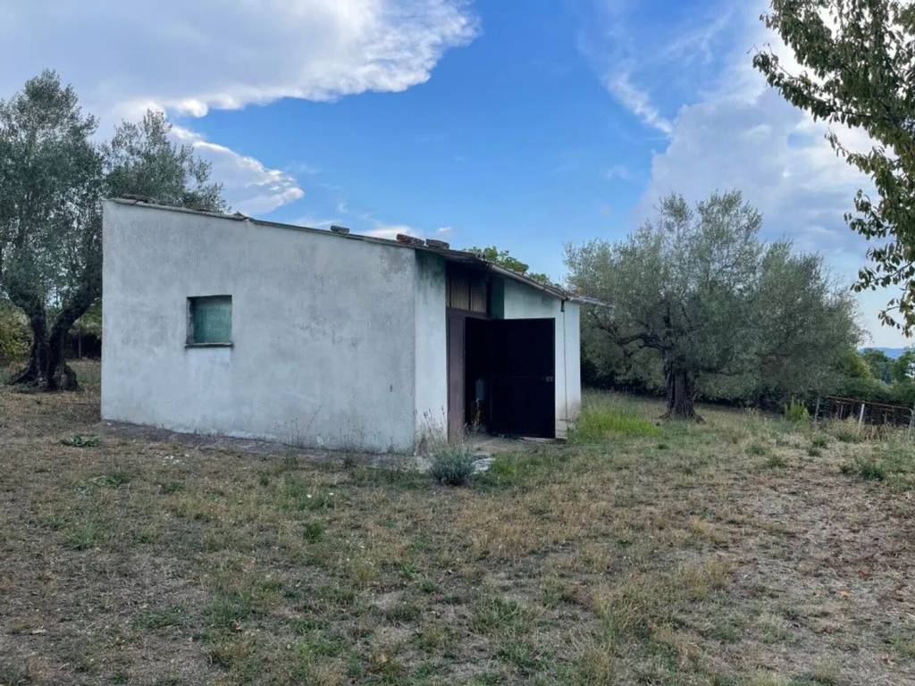 Rustico / casale a Capodimonte in Località San Lazzaro, 4 - Foto 5