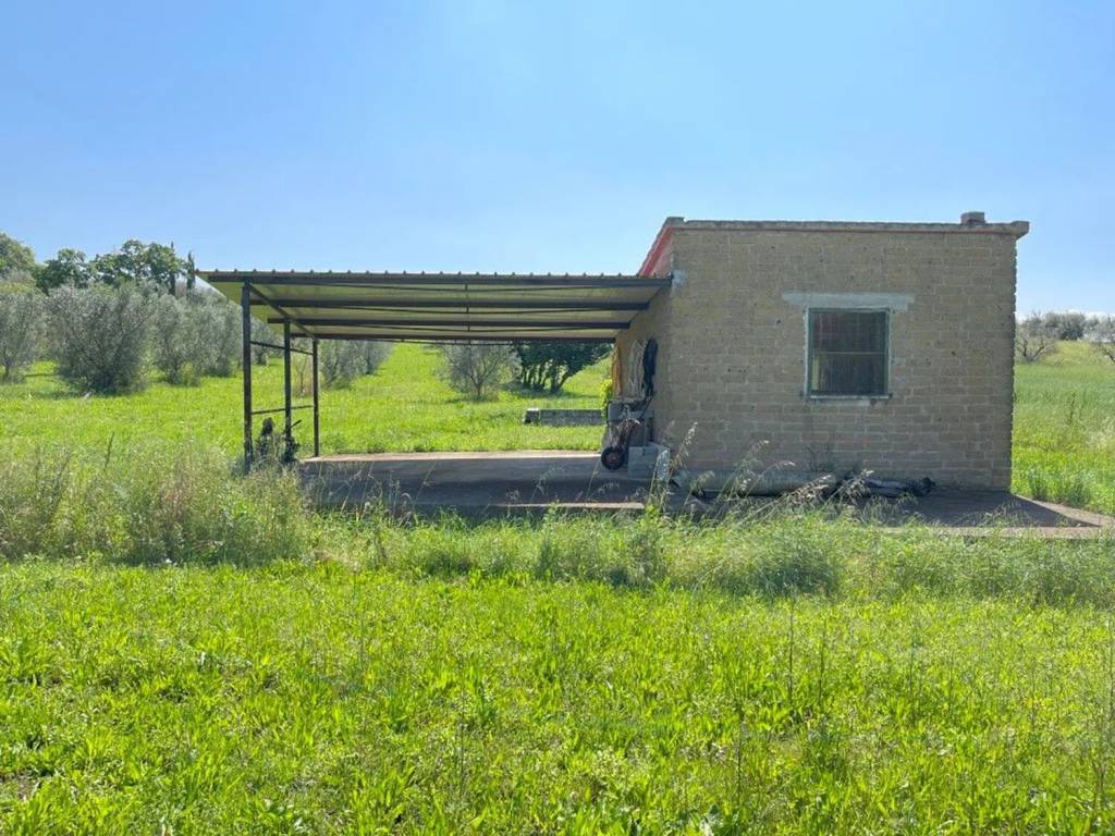 Immobile a Marta in Strada Della Mergonara No Number - Foto 2