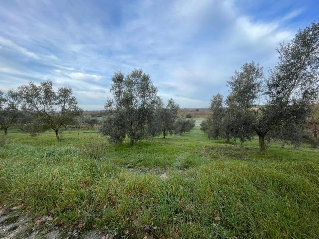 Immobile a Marta in Strada Della Mergonara No Number - Foto 3