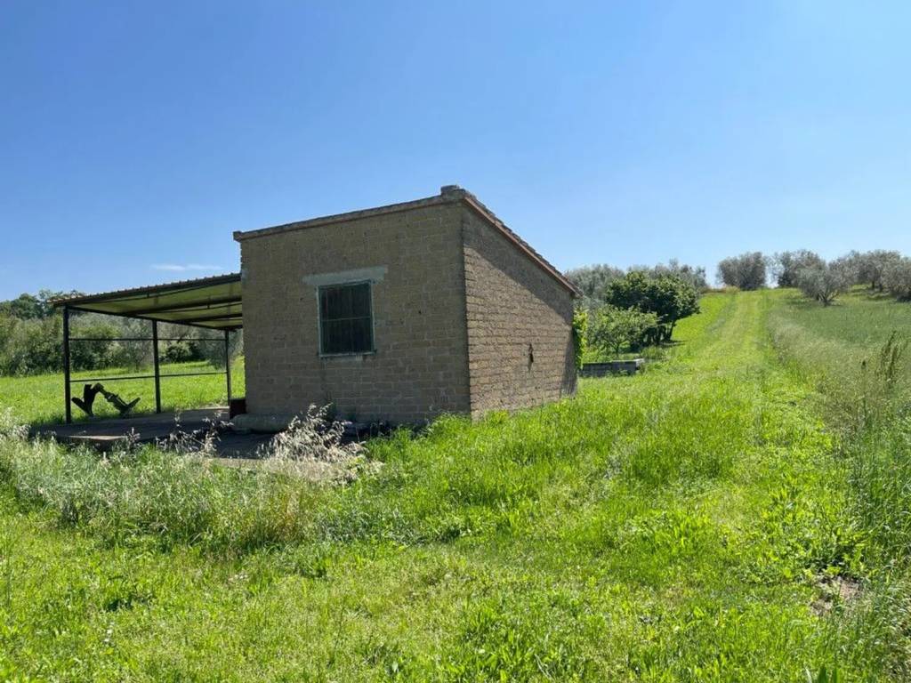 Immobile a Marta in Strada Della Mergonara No Number - Foto 4