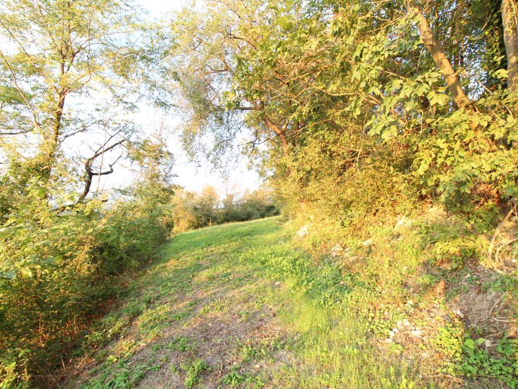 Rustico / casale a Lonigo in Via San Giovanni - Foto 3