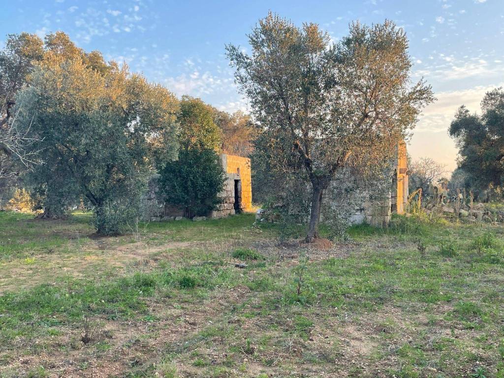 Terreno a Carovigno in Contrada Colombo - Foto 3