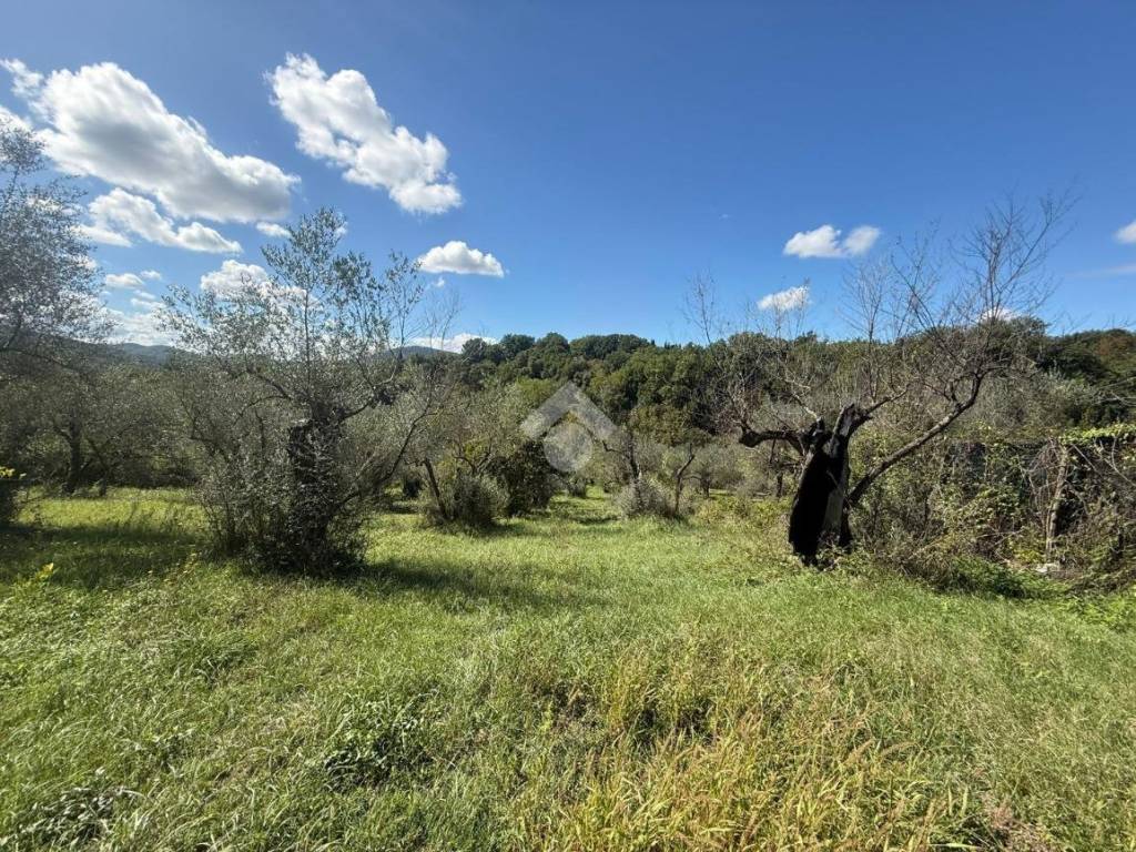 Rustico / casale a Castel madama in Via delle madonne - Foto 4