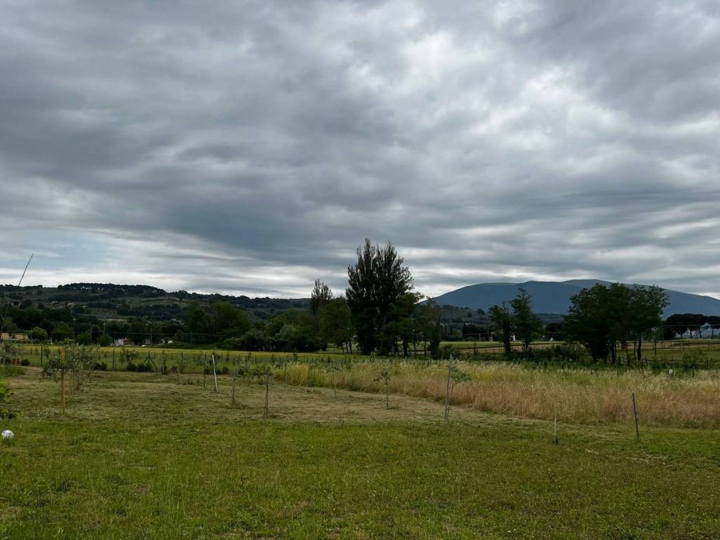 Rustico / casale a Assisi in Viale Michelangelo - Foto 3