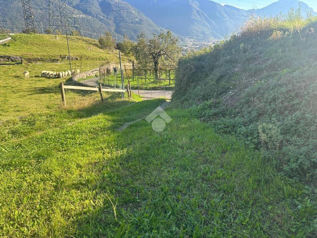 Terreno a Costa volpino in Via Cornelle - Foto 3