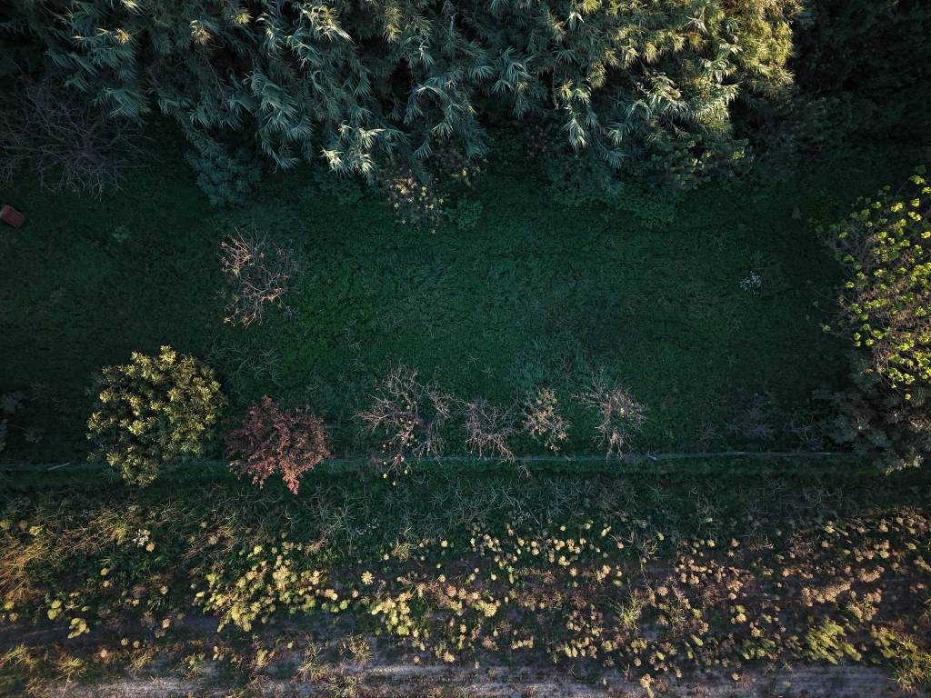 Terreno a Cambiano in Via Caduti Grande Guerra, 40 - Foto 5