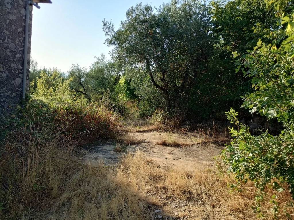 Rustico / casale a Piglio in Contrada Vorroni, 29 - Foto 4