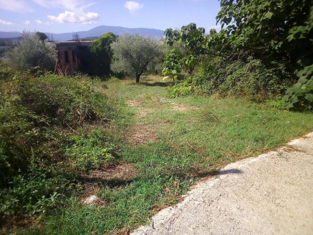 Rustico / casale a Acuto in Via Colli Orsoni No Number - Foto 4