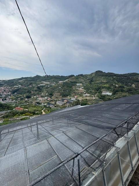 Villa a San biagio della cima - Foto 3