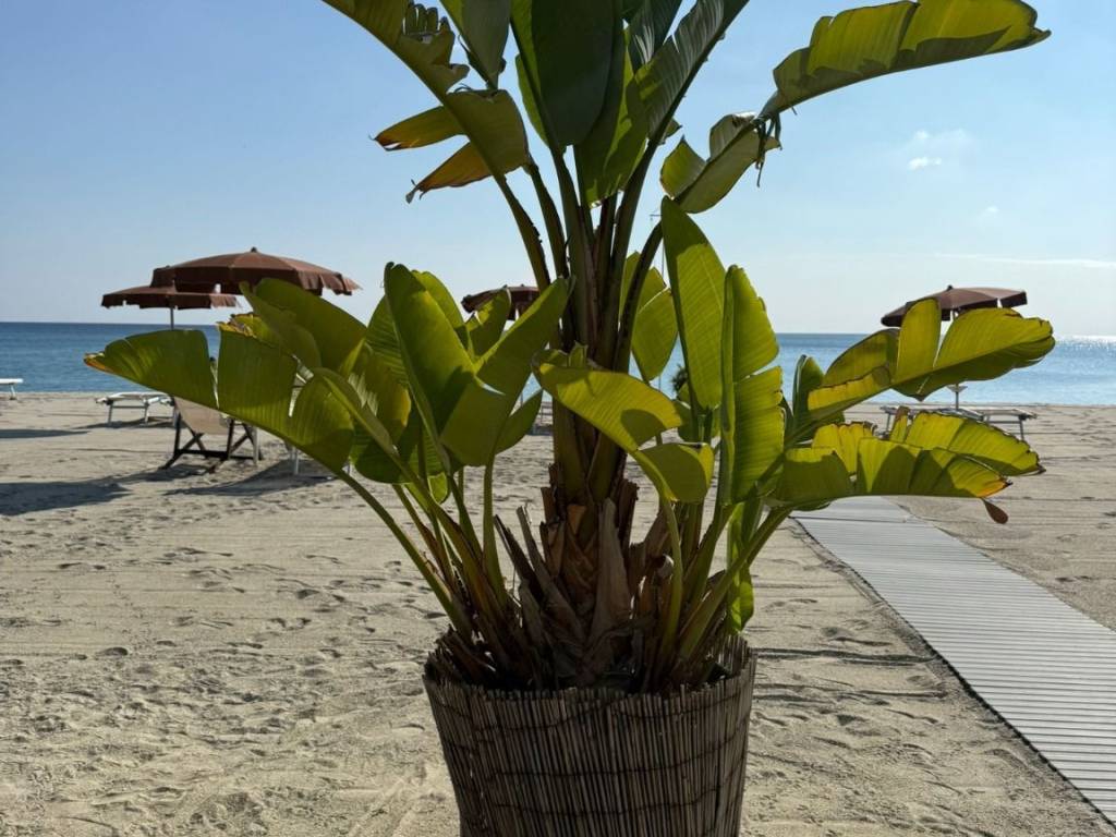 Villa a Finale ligure in Via Dei Navigatori No Number - Foto 5