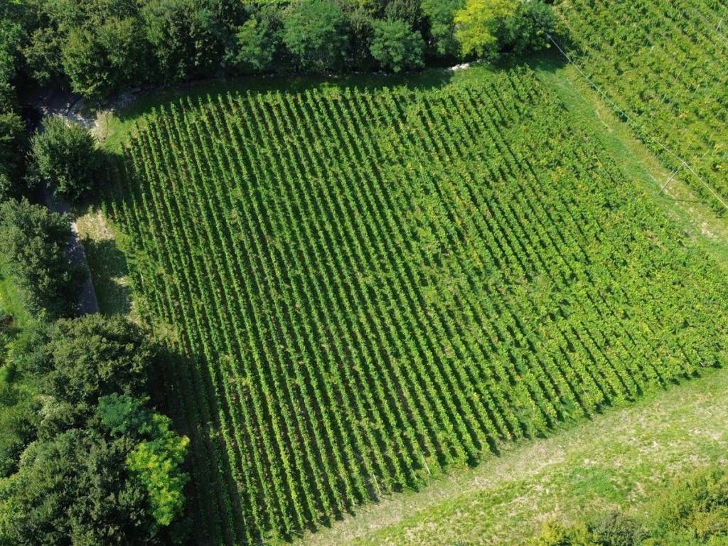 Terreno a Scanzorosciate in Via degli Orti - Foto 2