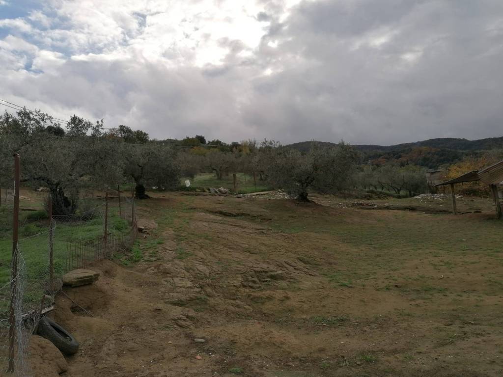 Rustico / casale a Torgiano in Strada della Cittadella - Foto 2