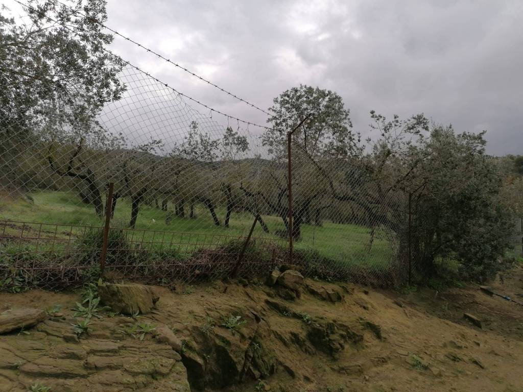 Rustico / casale a Torgiano in Strada della Cittadella - Foto 4