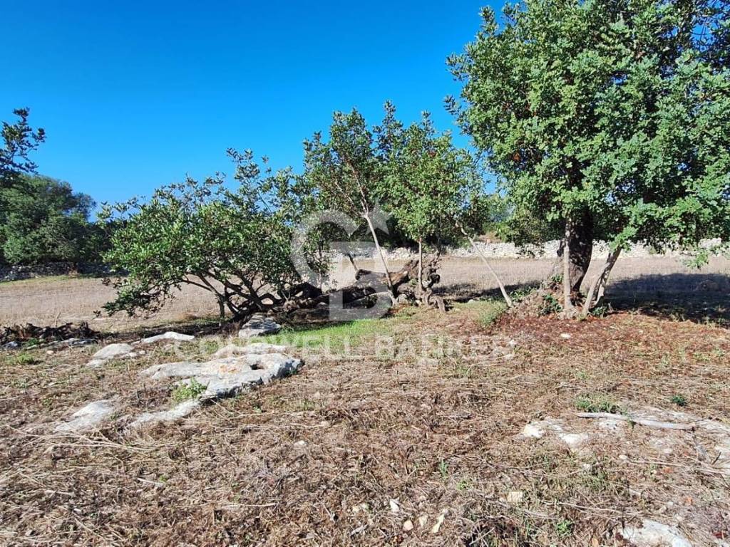 Terreno a Scicli in Contrada Spana - Foto 2