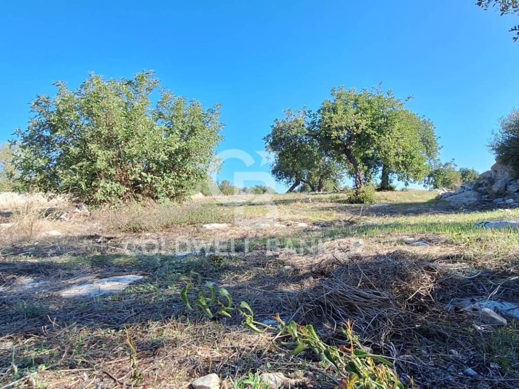 Terreno a Scicli in Contrada Spana - Foto 4