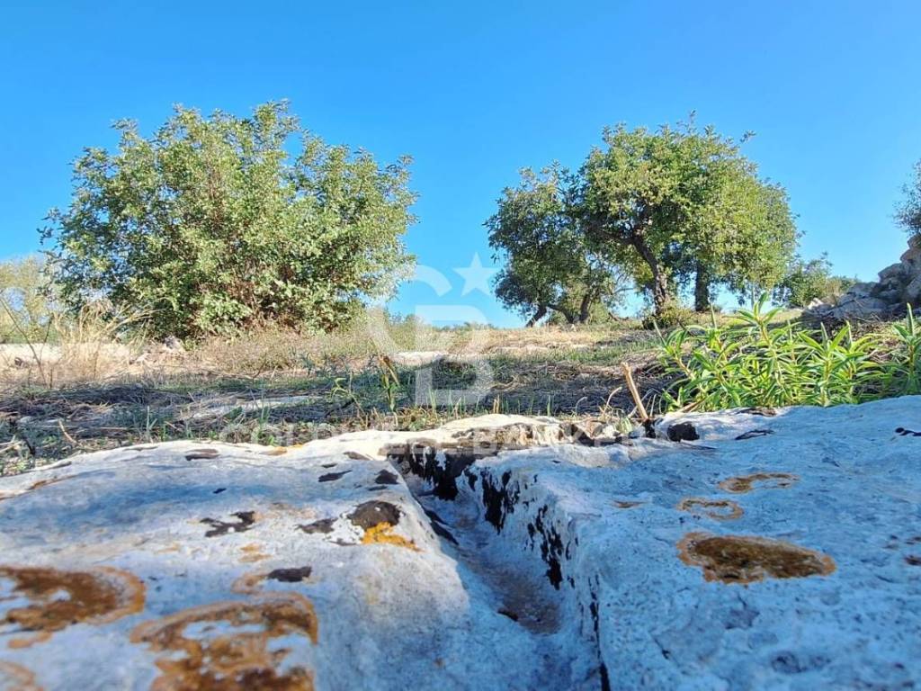 Terreno a Scicli in Contrada Spana - Foto 5