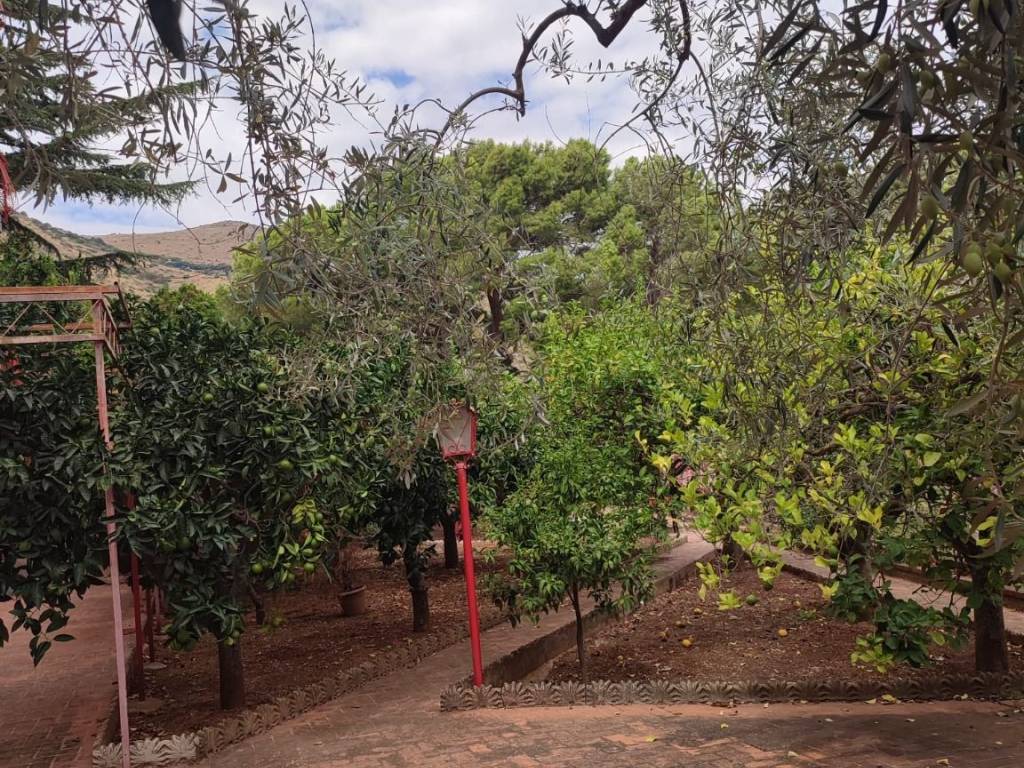 Appartamento a Trabia in Contrada Rovetto - Foto 4