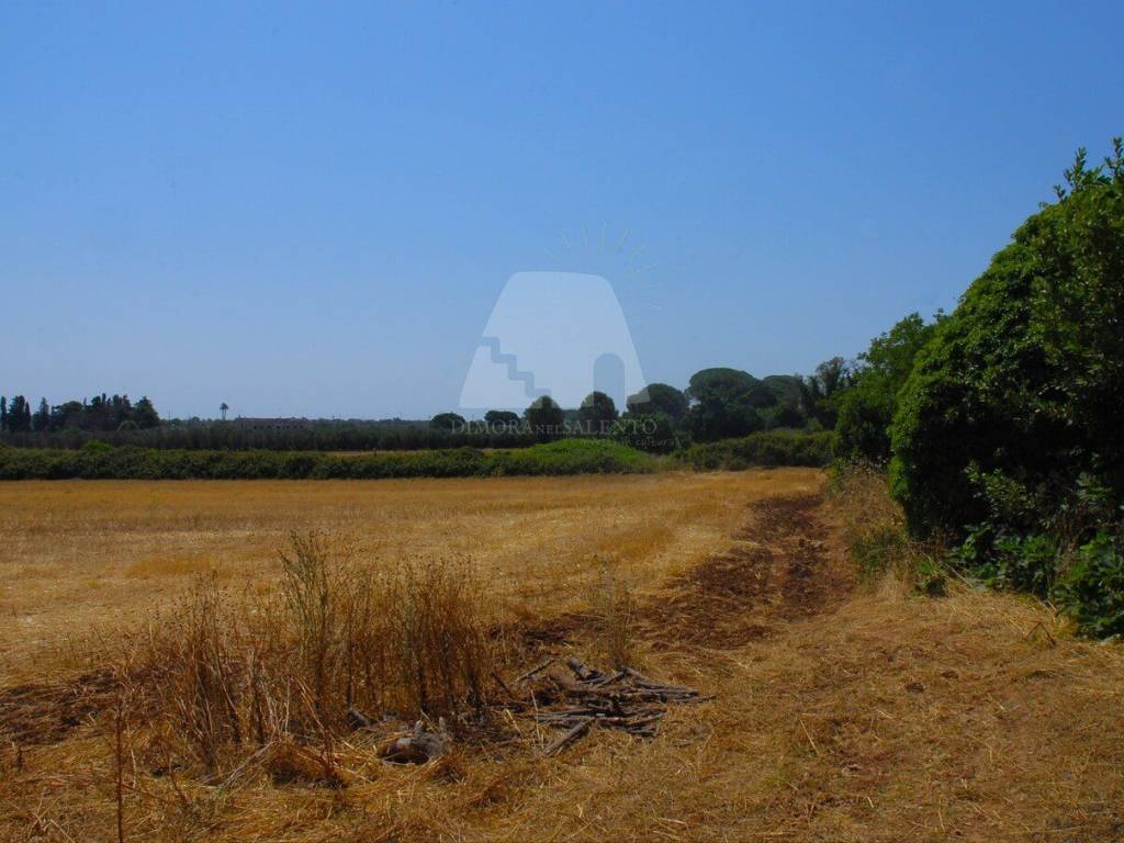 Terreno a Specchia in Via Estramurale Est, 33 - Foto 3