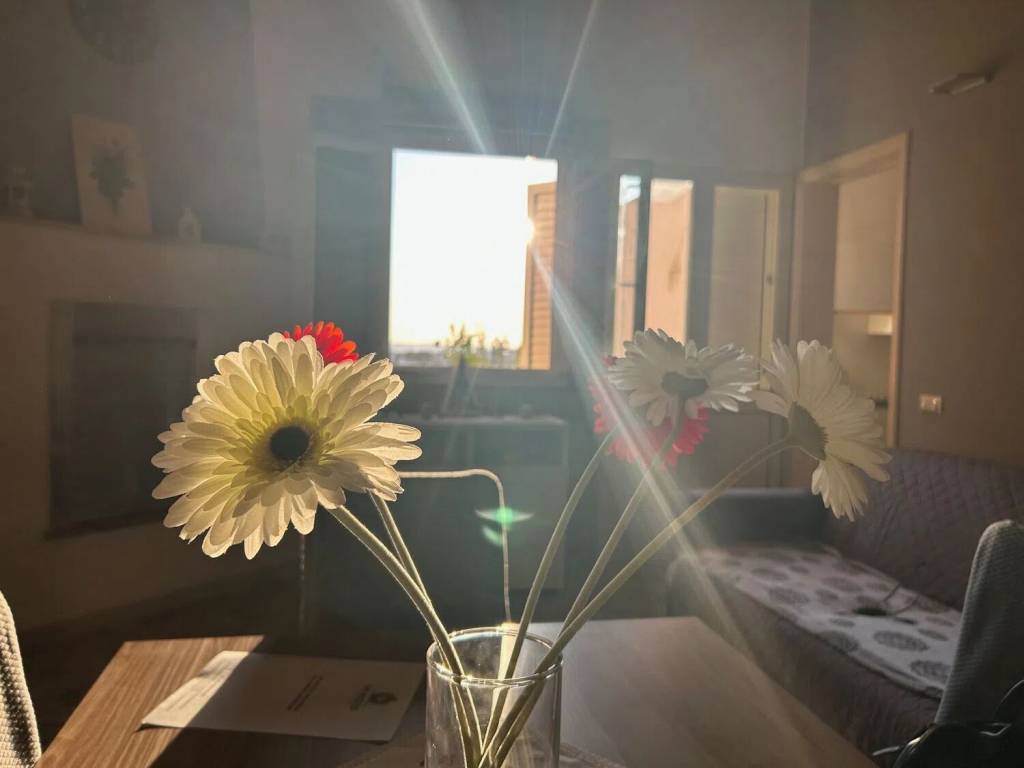 Villa a Casarano - Foto 4
