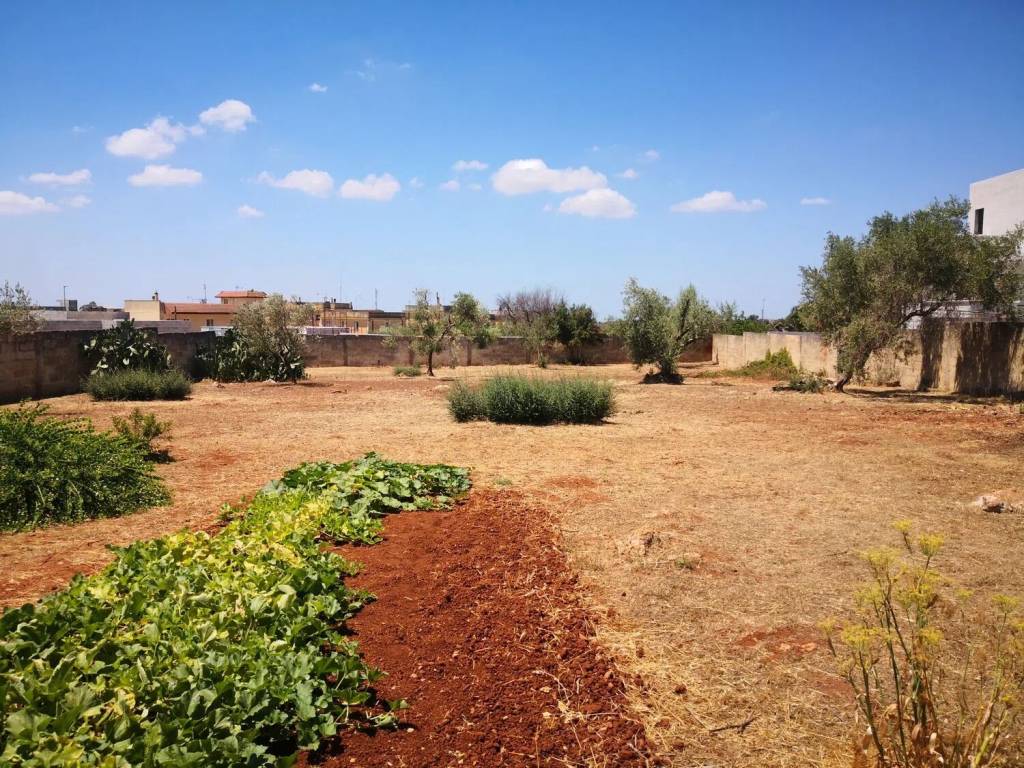 Villa a Casarano in F.Lli Bandiera - Foto 3