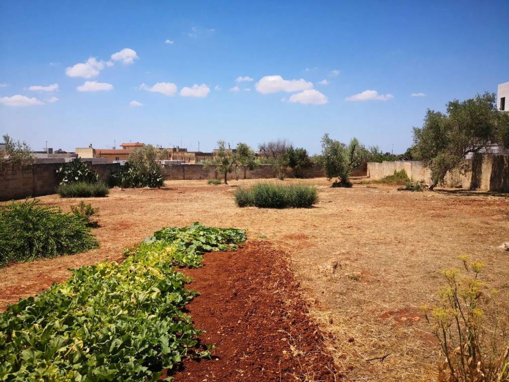 Villa a Casarano in F.Lli Bandiera - Foto 4