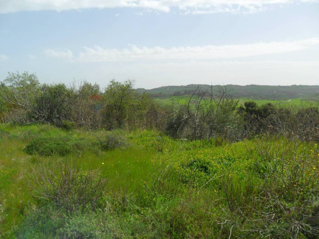 Terreno a Serradifalco in Contrada Altarello - Foto 3