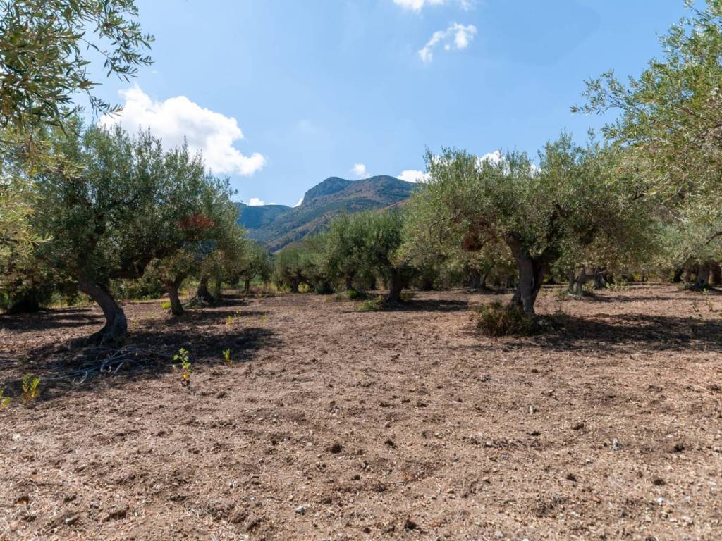 Villa a Altavilla milicia in C.da San Michele - Foto 3