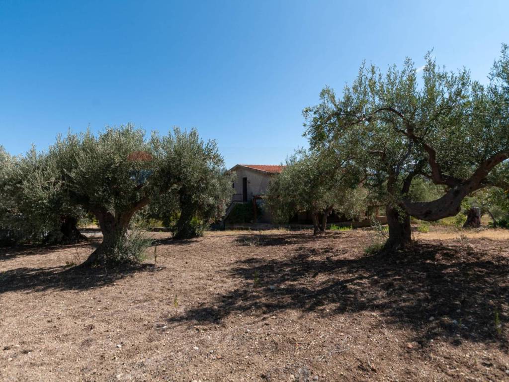 Villa a Altavilla milicia in C.da San Michele - Foto 5