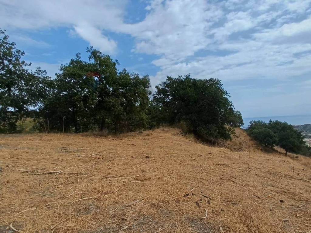 Terreno a Savoca in contura inferiore - Foto 2