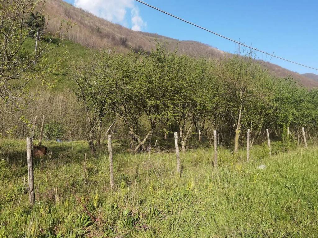Terreno a Monteforte irpino in Ss7Bis, 8 - Foto 2