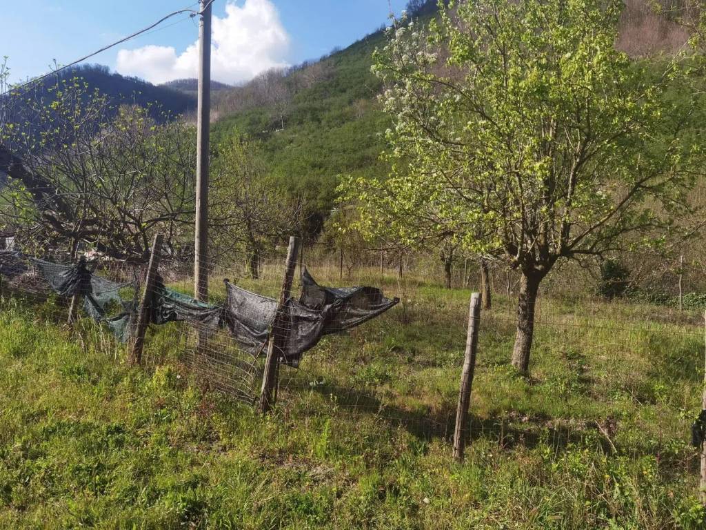 Terreno a Monteforte irpino in Ss7Bis, 8 - Foto 3