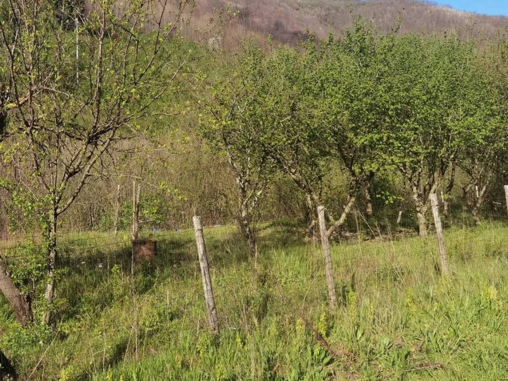 Terreno a Monteforte irpino in Ss7Bis, 8 - Foto 4