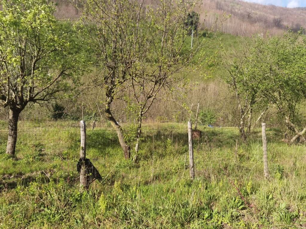 Terreno a Monteforte irpino in Ss7Bis, 8 - Foto 5