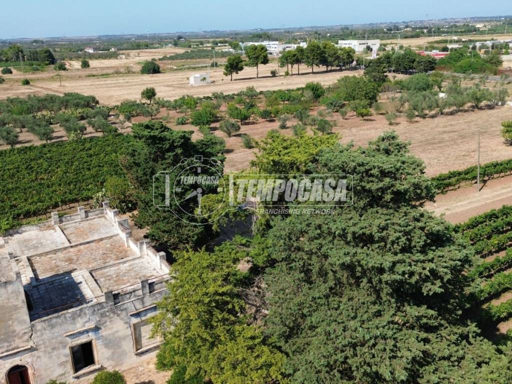 Villa a Salice salentino in Via Stazione 1/tenuta - Foto 2