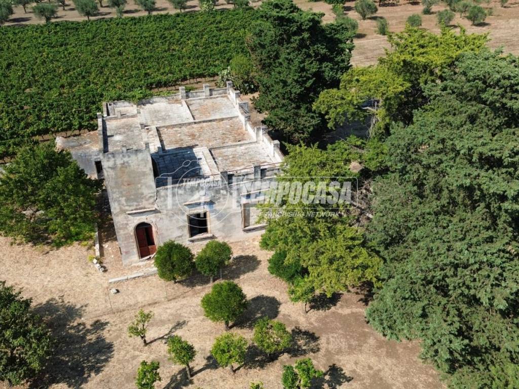 Villa a Salice salentino in Via Stazione 1/tenuta - Foto 4