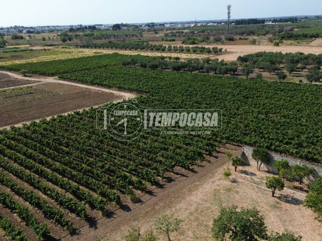 Villa a Salice salentino in Via Stazione 1/tenuta - Foto 5