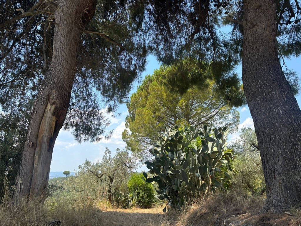 Terreno a Montelibretti in Via Prato Amato - Foto 5